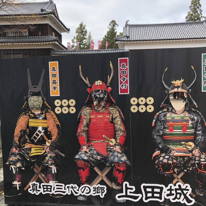 A991366d 726f 44ec aecb 1dfb4cbc5b4e 1574506910977