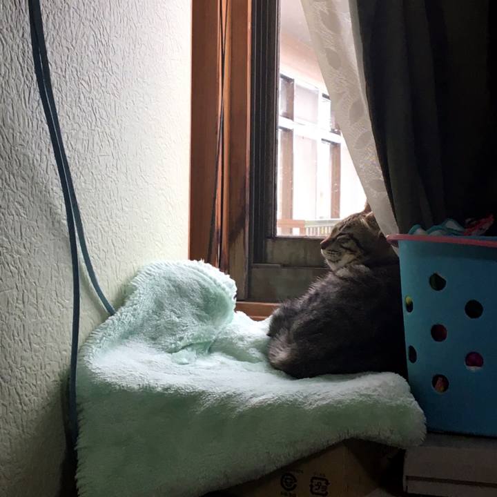 A99153aa bbd9 4def 9ab0 0b5dbf6ac8fa 1538284451716