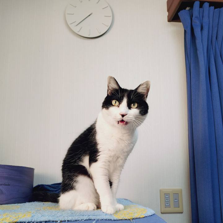 A9916258 8b68 4375 a356 20518335c450 1760921099809