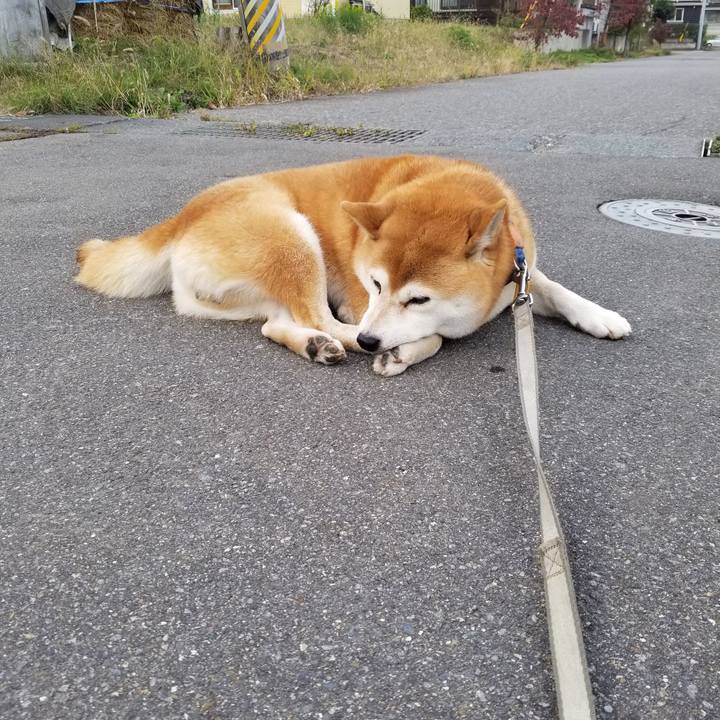 A991704a 4bb0 4584 8e6e f725ddfb7fdb 1571814369778