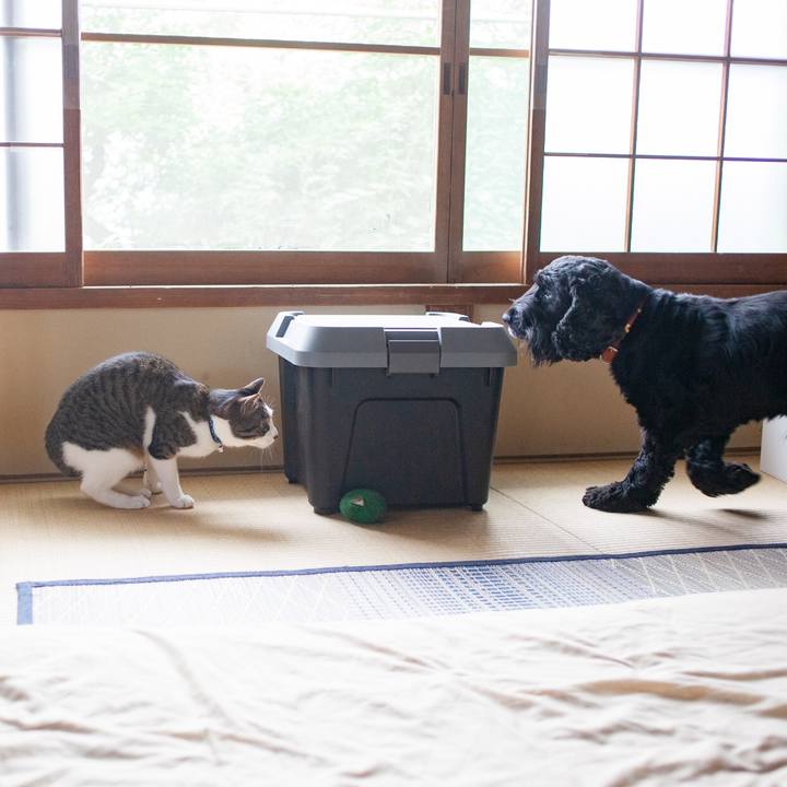 A9918731 27ad 4b07 9689 6239140ff9b0 1560477972081