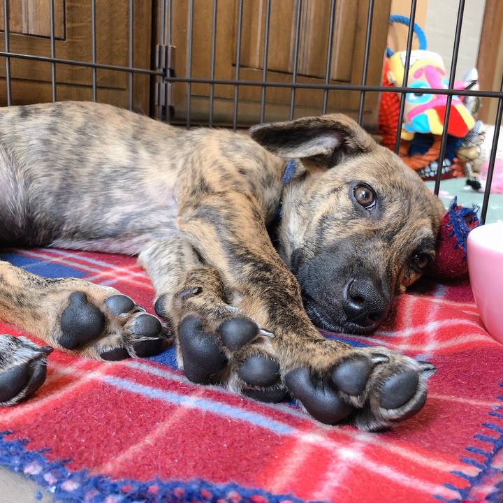 A991a8a2 aa4c 4ca1 b145 da1cc5f9ed4f 1569040447549