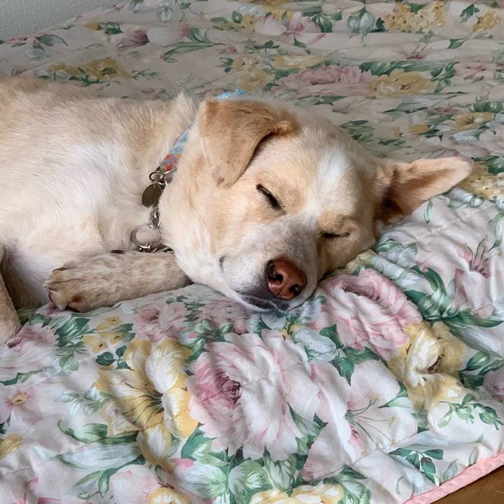 A991b15d c1e2 4d85 a2c3 f366a8c34ff1 1554000792764