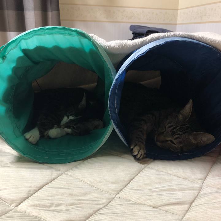 A991c549 a88d 414f a6f3 21f96147705b 1565532894543