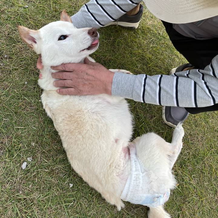 A991e16c 5dc6 4c25 92e8 3f1e26fd56f4 1667260947378