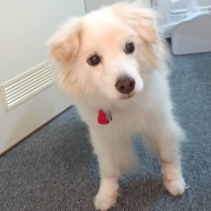 A9920ac4 a120 4d78 b77c 6a882aae11dd 1752574816942