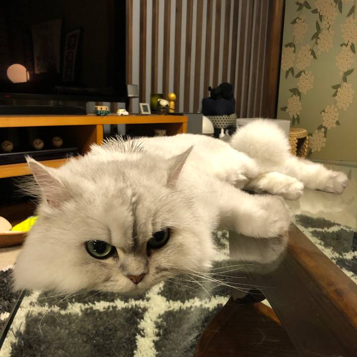 A9920bb4 501c 4e32 87e2 967fa250c964 1591182052184