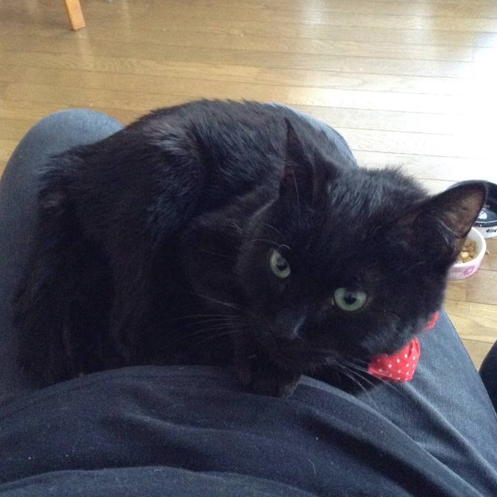 A9921b8c 5b7d 4fdd b55a c05a2dc8652d 1570050529484