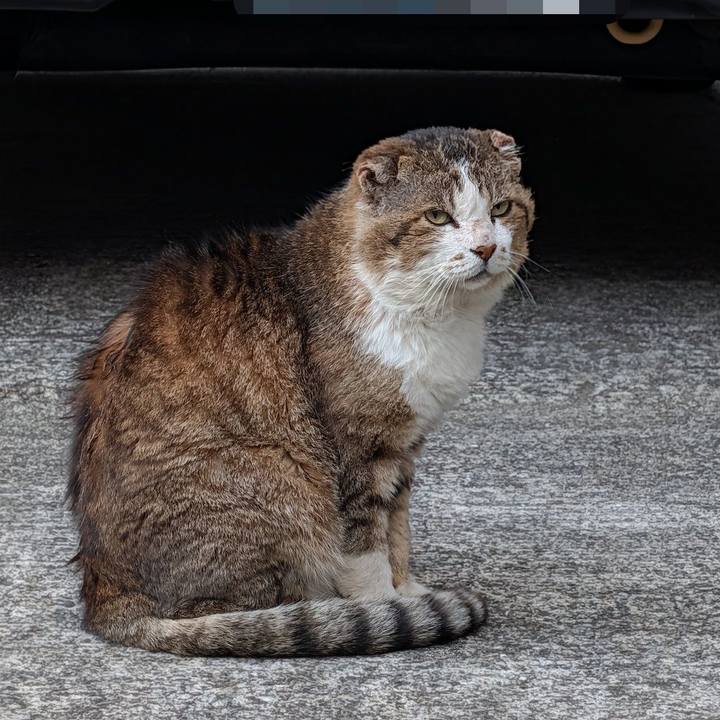 A9924fe0 0dfb 47c4 a579 81c71cbe1023 1776069893728