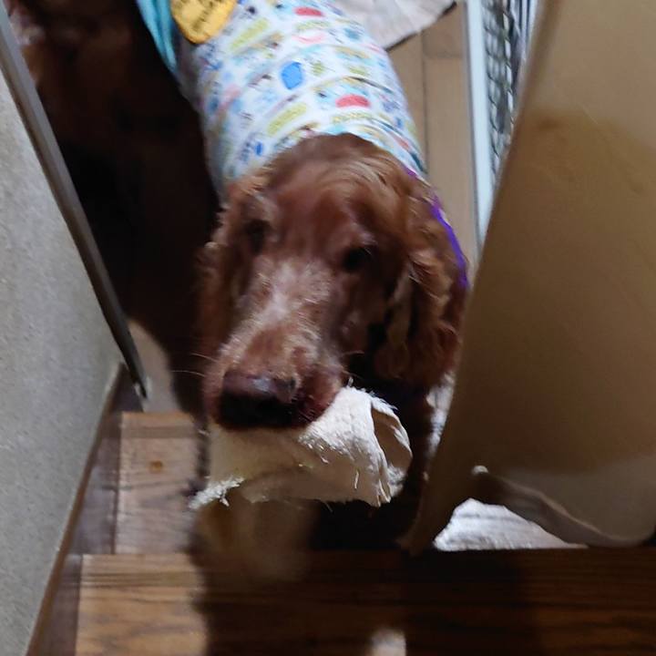 A992697b d2d0 449d a17f 629ca2c74d11 1655216891126