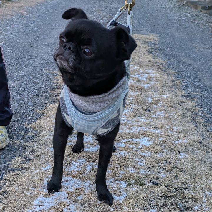 A992cc84 de8a 4ed1 96a2 cfe4e1992a97 1770601951475