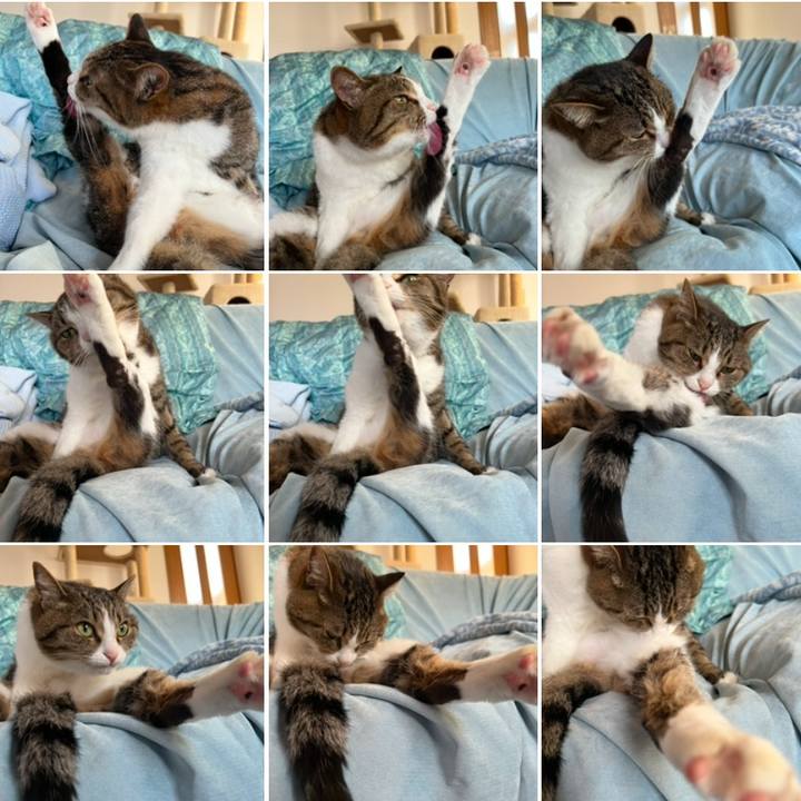 A992f2da ec79 4830 9d04 62eac3c812d4 1738767393602