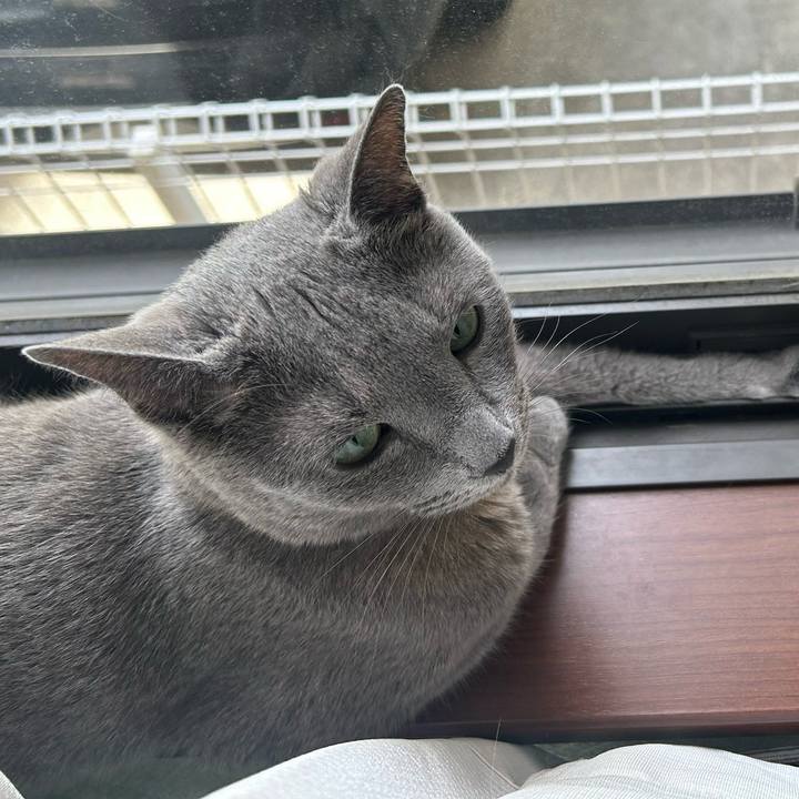 A99301fa 1d74 48a6 b36d a51663ac9ca6 1722127418753