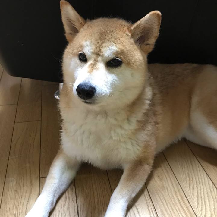 A9932367 87e5 494d 9002 9bd7d9dfabfd 1545614014645