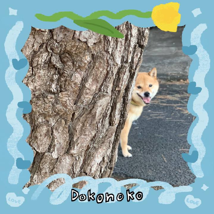 A9932381 407e 4935 a408 e3457def8277 1771833426845