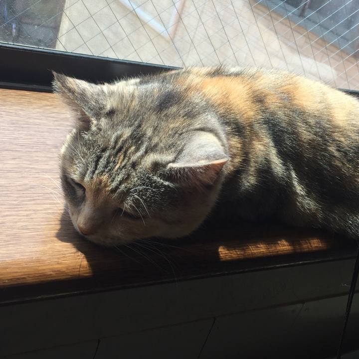 A9935301 5ddf 425d b303 960c07de8f44 1555727731030