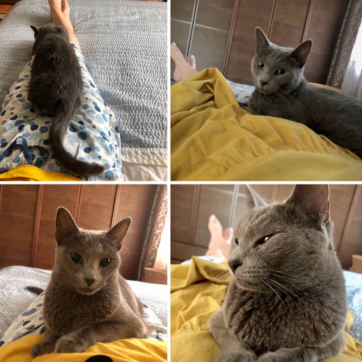 A99353e6 d448 4c44 b2c0 710f1bb3d715 1596811148813