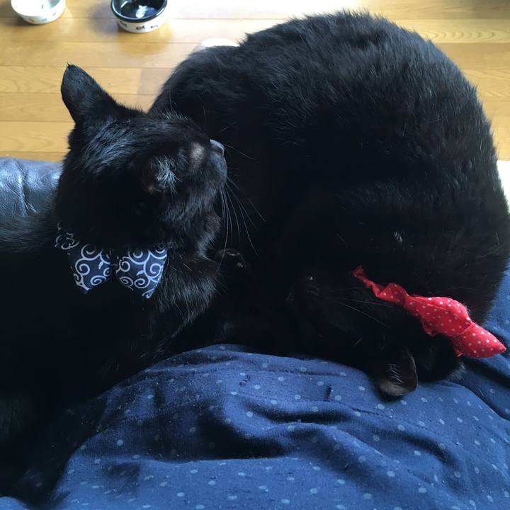 A993e2a6 b1c7 42a1 816e 86f4d07e23de 1536366784769