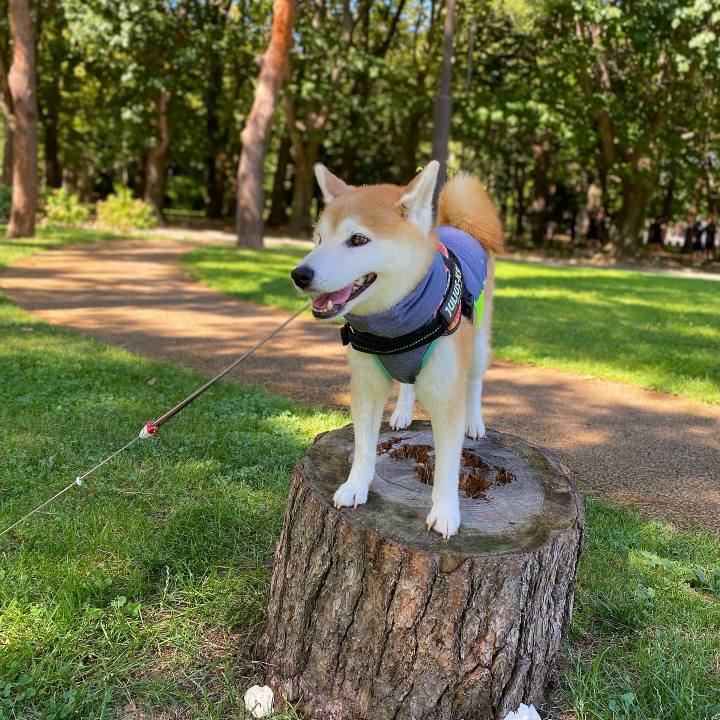 A9942f28 d778 4738 8575 b9c0ed58d26d 1692708752753