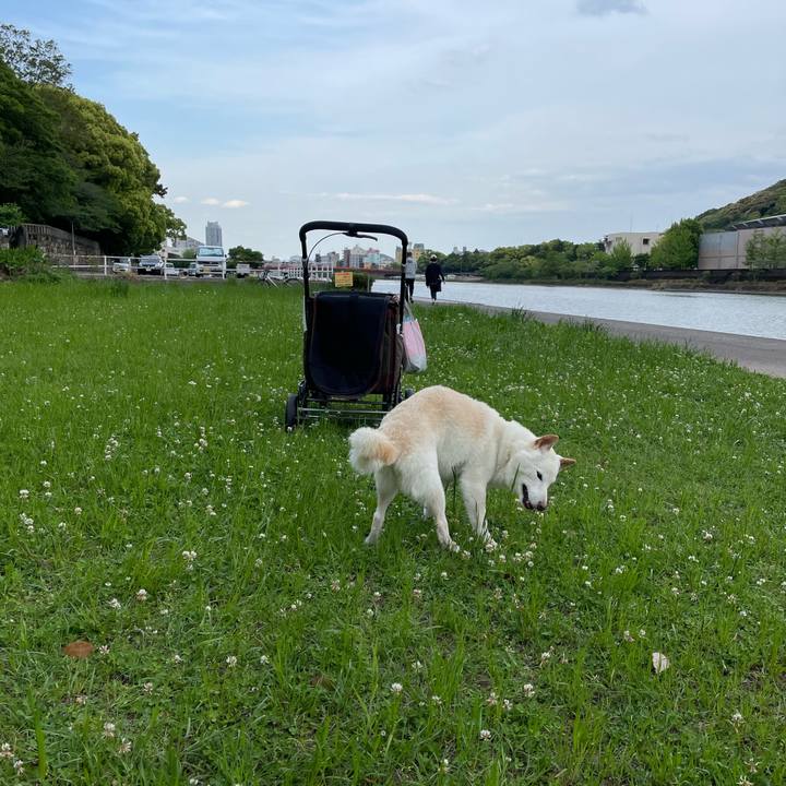 A9943f9e 016a 4f8a 88c6 2974cca5eca7 1651411779492