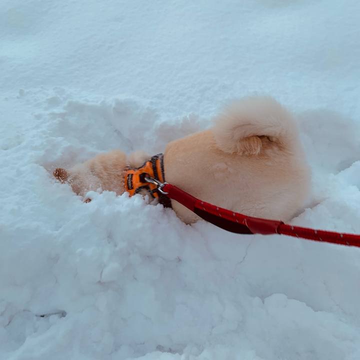 A9944c95 4038 4241 b5ea a860e925e669 1670192145893