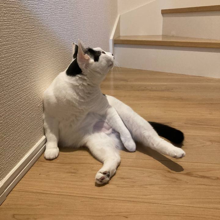 A994556e ab6d 4bcb 8a7b cecc4b3a68a2 1760992952227