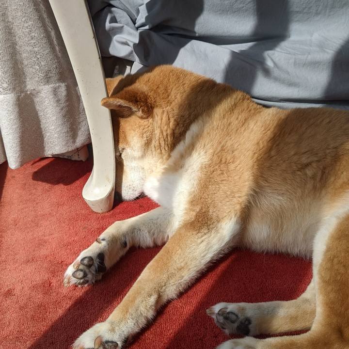 A9949e37 7cfd 426a b920 f14b38f5d134 1717630234914