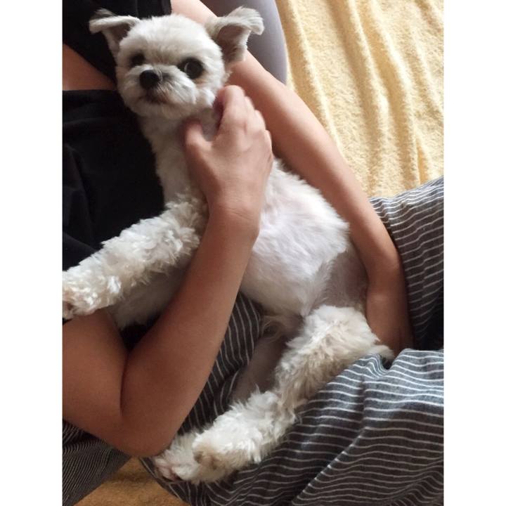 A994a7d0 0099 4086 afec c46255e718a0 1532948964570