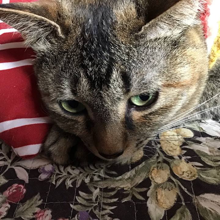 A994b055 1fbc 4ebe 8523 7a8a8e4876a3 1623710608082