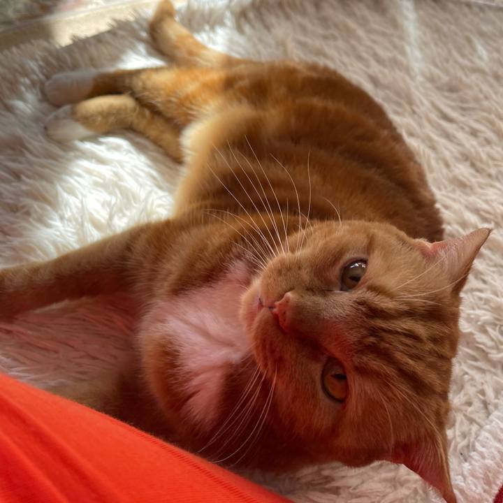 A994e024 f4bb 4ec9 abd0 dbb75c9cc57b 1668218628012