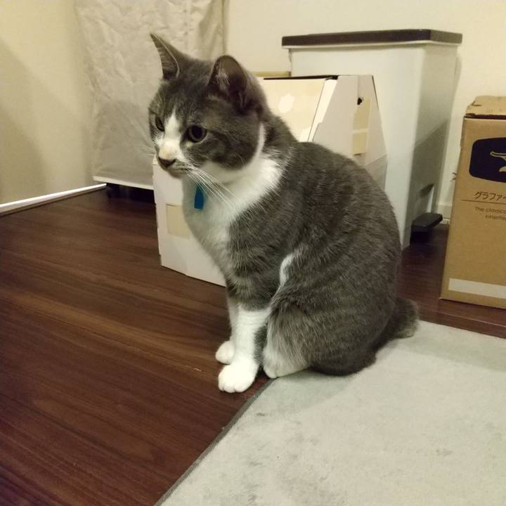 A994f5fe 264d 4571 a4fa c8acf3b7dbf5 1603115347359