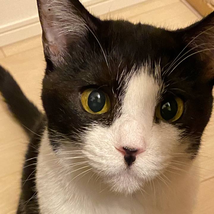 A995013d 3303 4b86 8679 37a9cddbbf9a 1720265597061