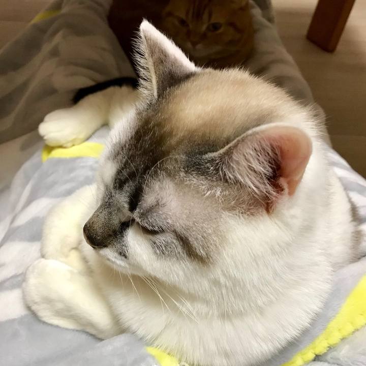 A9953b05 1a11 49fb bbee 64c4fe7e50ca 1522326221466