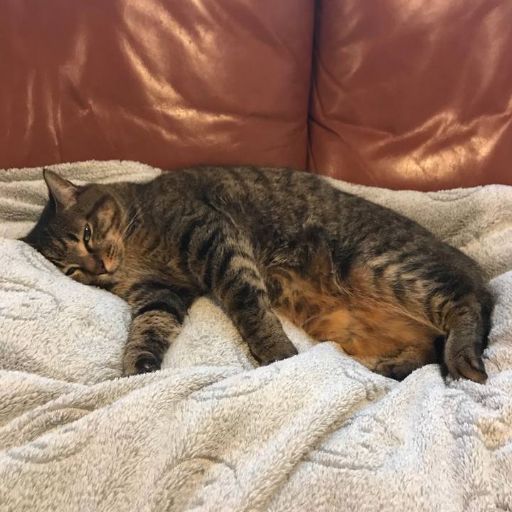 A9953c15 1bd8 4bb4 ab15 ad95a456c45a 1518443130462