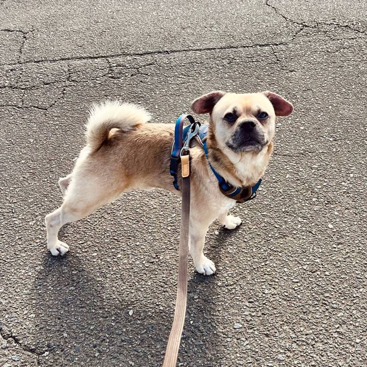 A9955622 8170 430a 9137 2e8e0b215785 1761811880841