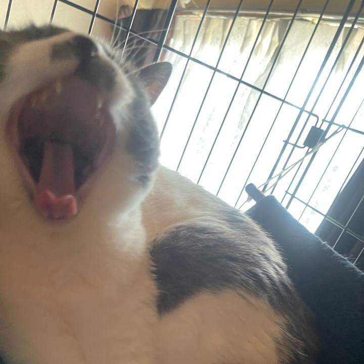 A995572c c3a2 40df a04b 43dff303d8b3 1745187592805