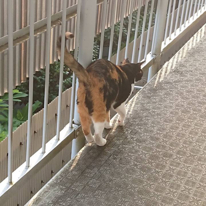 A9955f38 79d2 4004 84e4 dad943828985 1597356891046