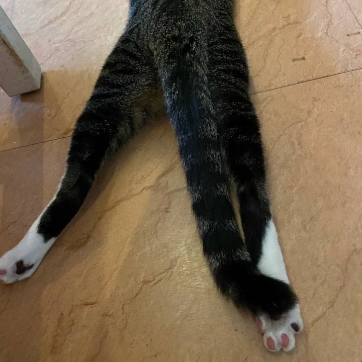 A995aab9 7462 4586 8703 2aed5f7518cc 1661159551215