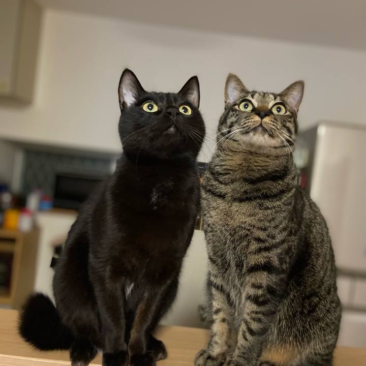 A995b116 75a5 4169 80a8 f55434869de3 1645614018745