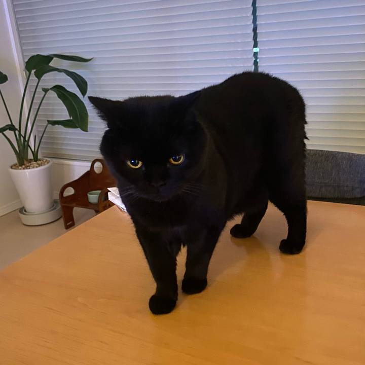 A995d73e 4461 4202 bc68 2fb396284dac 1752493994958