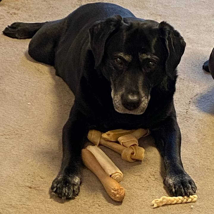 A995dd7a f7a2 4577 9b2c 09018442749f 1645230594748