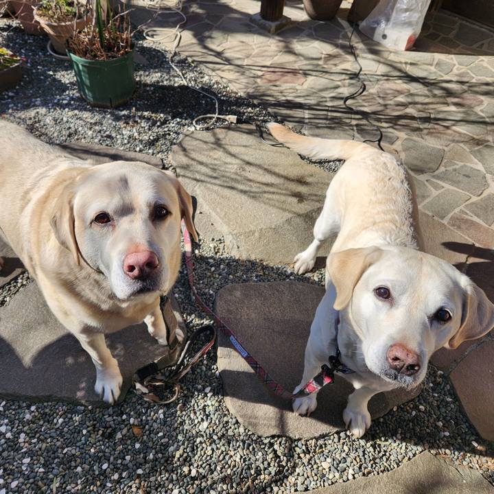 A995f3b9 4eb0 457f 8be8 bbbed4268464 1769771172556