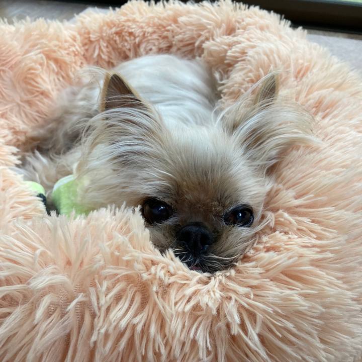 A995f608 a760 4fd9 ae4c 48f04f8090a1 1617926956336