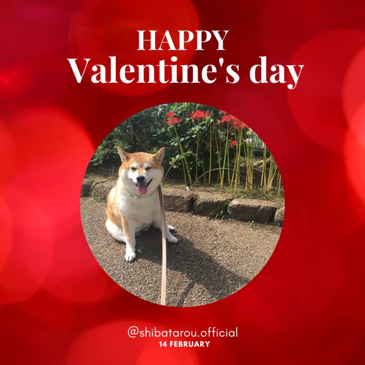 A9961af7 c642 4adb 8b17 9ed624decdb5 1644792661252