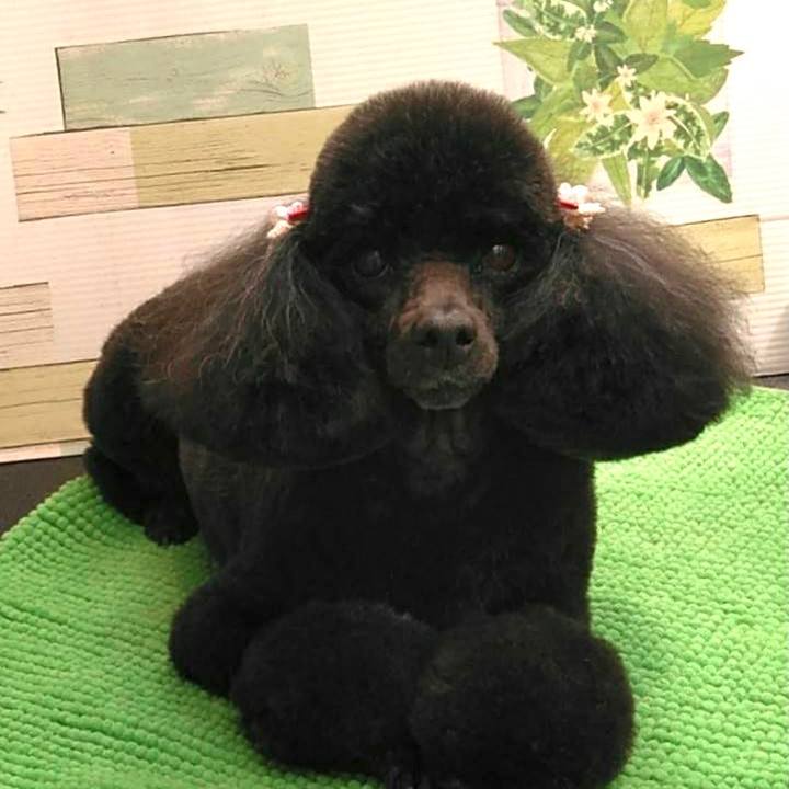 A9962563 0acc 4f08 81a5 050de13a6f5d 1622172133393