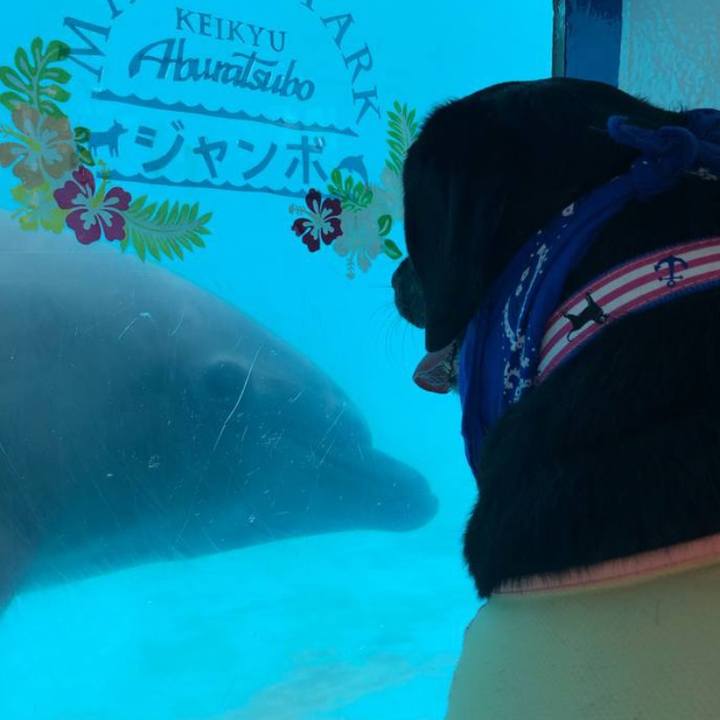 A9964773 a4ec 4352 bb95 a1eea56cf3d7 1620833234652