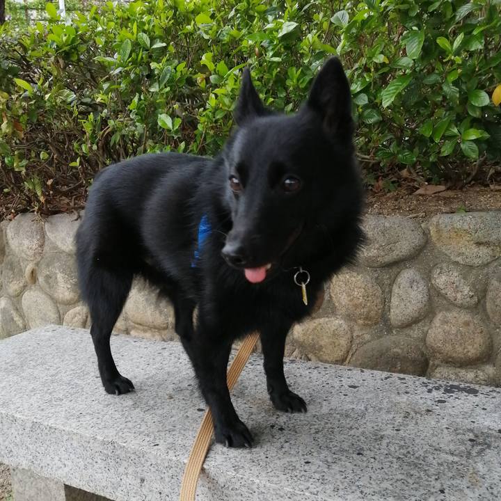 A9965645 6571 44c8 8934 7944fefd26c8 1600553178113