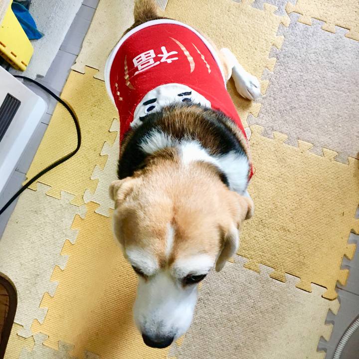 A996864f e376 4fbc 9e71 8c7ac2863c09 1546178080606