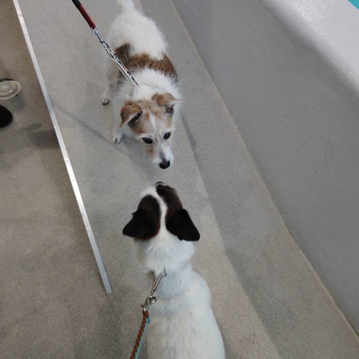 A996a686 3b76 480c b07b 5a16359aefd9 1735393892696