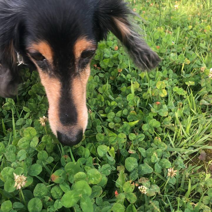 A996ad34 71d1 4aa6 84cb 7aa887d8dfd7 1623462248419